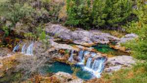 Lee más sobre el artículo Piscinas naturales