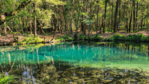 Lee más sobre el artículo Lagoa da Esturranha