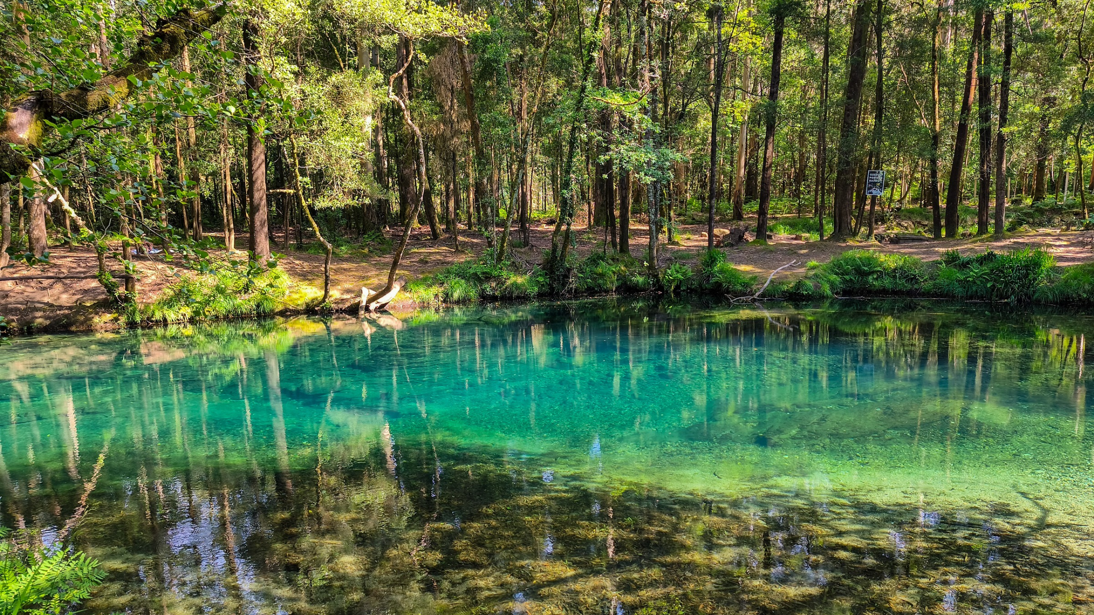 En este momento estás viendo Lagoa da Esturranha