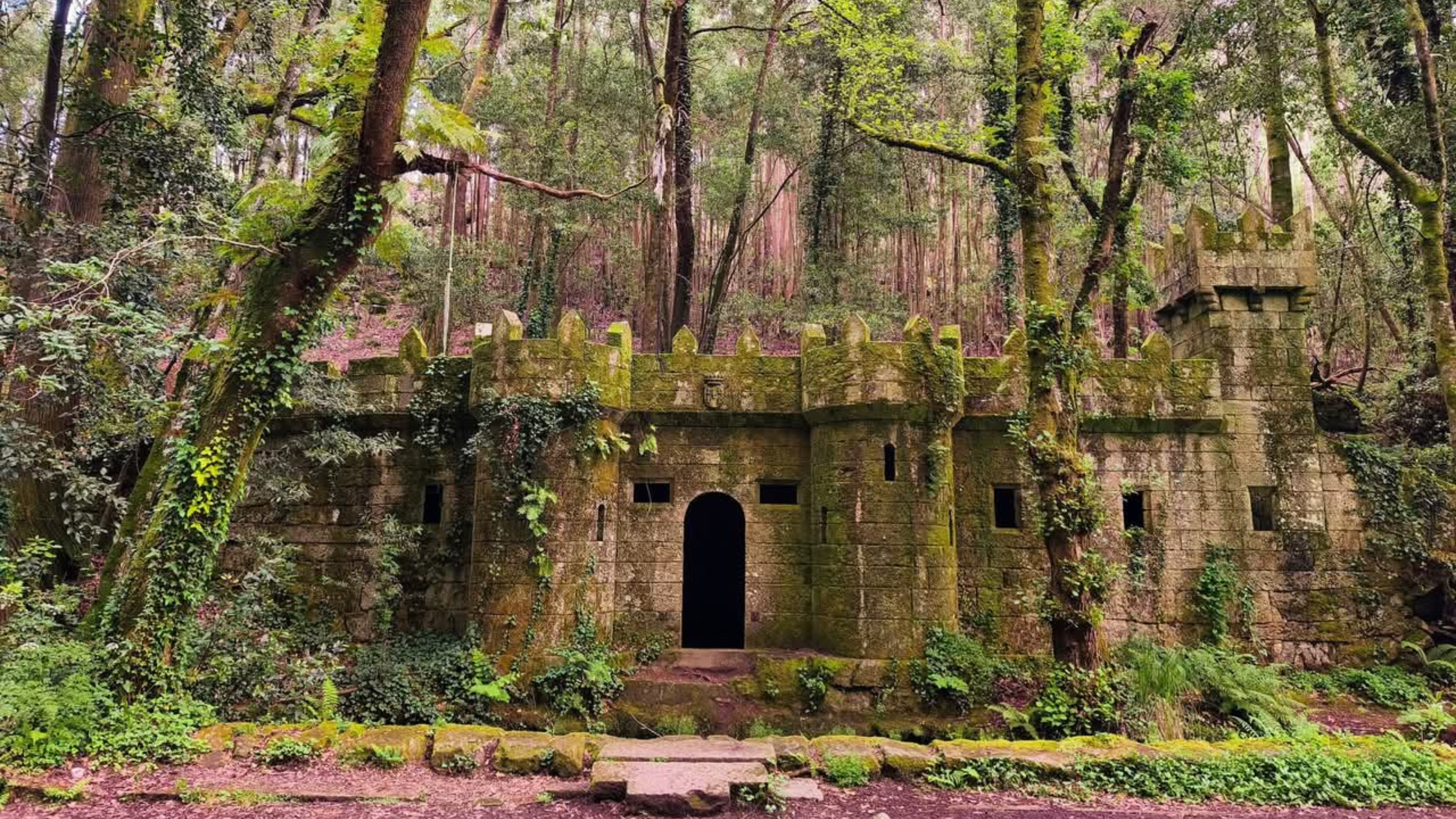 En este momento estás viendo Finca de Fendroal: el Bosque Encantado de Aldán