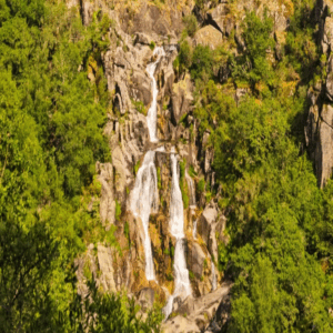 Lee más sobre el artículo Fervenza de Liñares